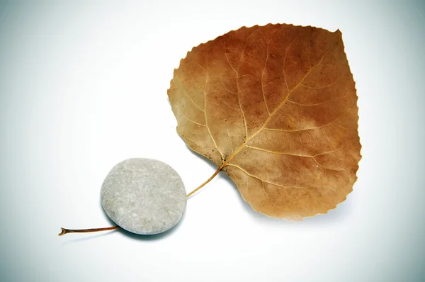 stock image Stones and leaf