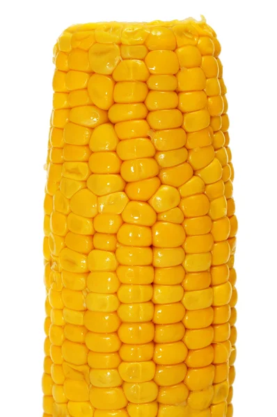 Closeup of a cooked corncob — Stock Photo, Image