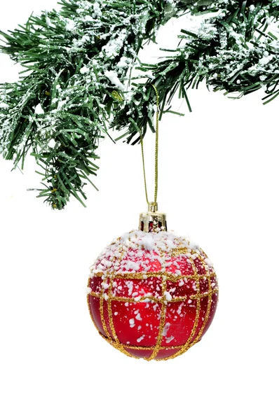 Une boule de Noël rouge et dorée accrochée à un arbre de Noël enneigé — Photo
