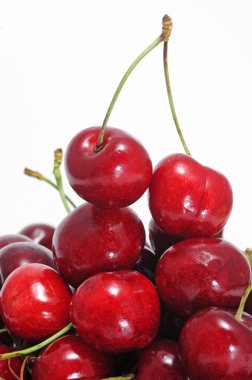 Cherries clipart