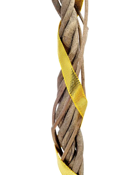 Poskręcane korzenie z złote wstążki na białe tło — Zdjęcie stockowe