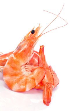 Shrimps clipart