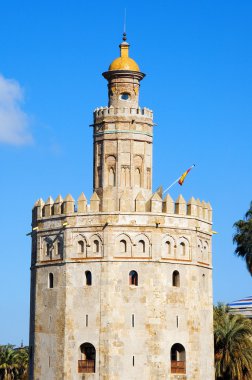 Torre del oro, Seville, İspanya