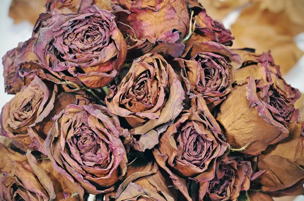 Closeup Kytice Sušených Růží Podzim — Stock fotografie