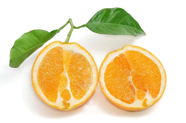 Orange Cut Half Isolated White Background — Stock Photo, Image
