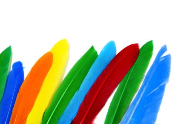 Feathers of different colors isolated on a white background clipart