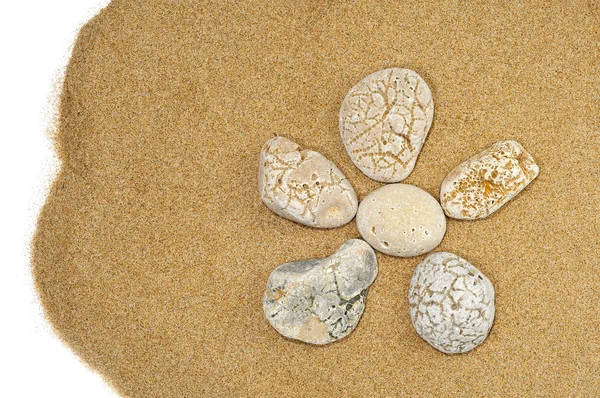 Цветок Камней Песчаном Фоне — стоковое фото