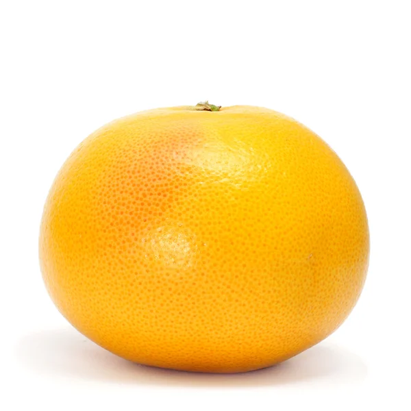 Grapefruit Isolated White Background — Stock Photo, Image