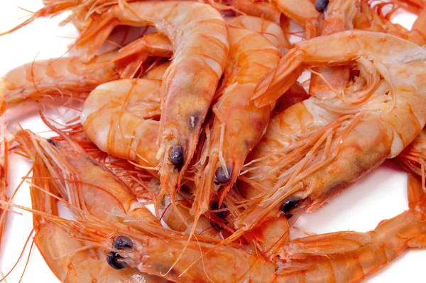 Closeup Lot Shrimps White Background — Stock Photo, Image