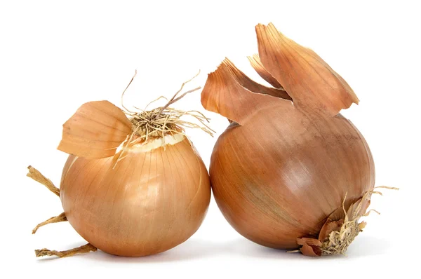Pair Onions Isolated White Background — Stock Photo, Image