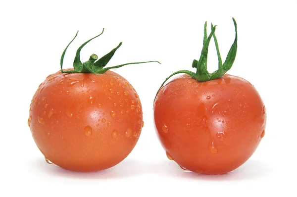 Ένα ζευγάρι ντομάτες — Φωτογραφία Αρχείου