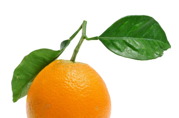 Ένα Πορτοκάλι Απομονωμένο Λευκό Φόντο — Φωτογραφία Αρχείου