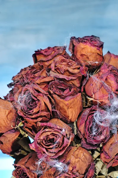Bouquet Roses Séchées Automne — Photo