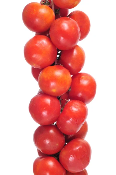文字列に掛かっているいくつかの家宝のトマトのクローズ アップ — ストック写真