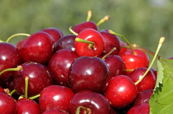 Closeup Pile Delicious Red Cherries — Stock Photo, Image