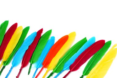 Feathers clipart