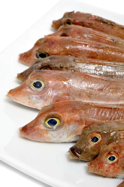 Peixes em bruto — Fotografia de Stock
