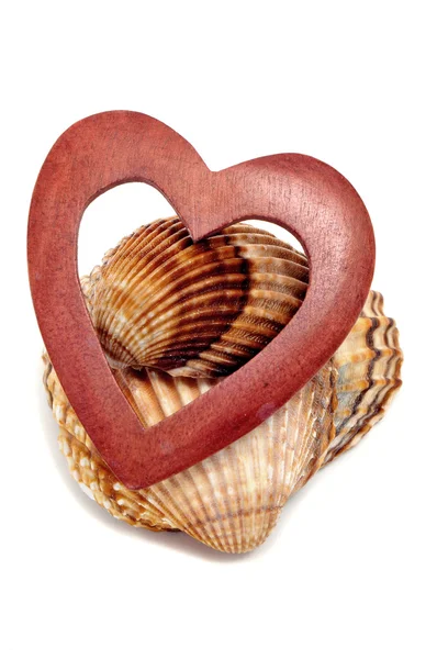 木製の心と 白い背景にいくつかの貝殻 — ストック写真