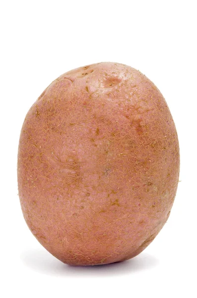Μια Κόκκινη Πατάτα Απομονωθεί Λευκό Φόντο — Φωτογραφία Αρχείου