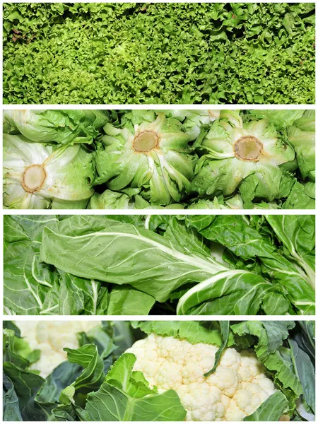 不同蔬菜的四个图片的拼贴画 — 图库照片