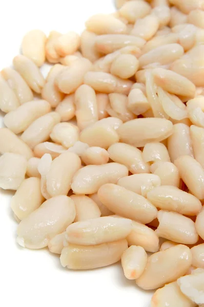 白い背景上に調理された白豆の山 — ストック写真