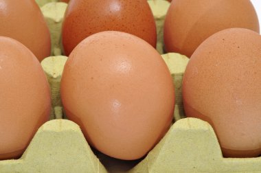 kahverengi yumurta yığını closeup