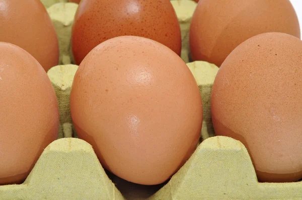 Kahverengi yumurta yığını closeup — Stok fotoğraf