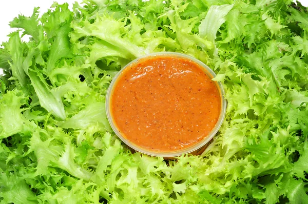 Escarole endive with romesco sauce, a typical salad from Catalon — Stock Photo, Image