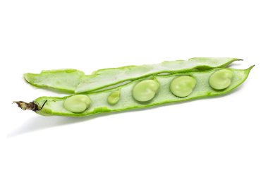 Broad beans clipart