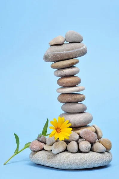 Zen stenen en bloem — Stockfoto