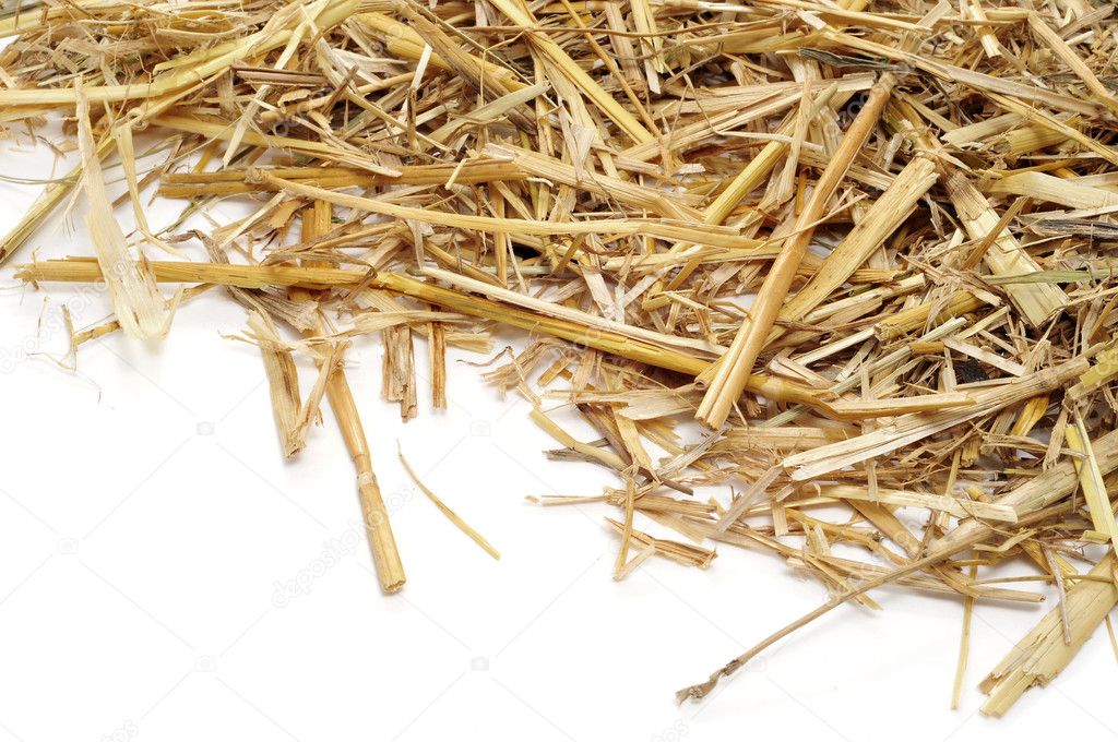 A pile of straw