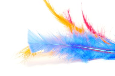 Colorful feathers clipart