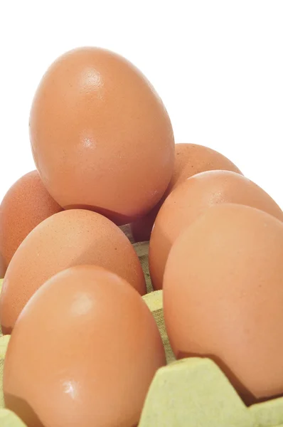 一堆的褐色鸡蛋的特写 — Stock fotografie