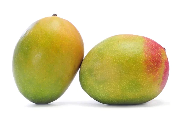 Mango ovoce — Stock fotografie