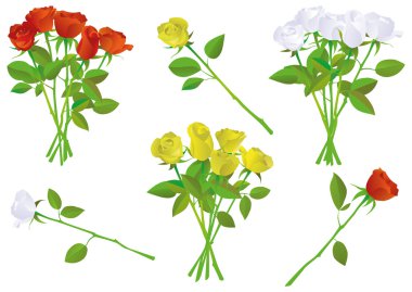 Colorful rose bouquet vector illustration set. clipart