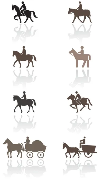 Набор векторных иллюстраций для лошадей или пони . — стоковый вектор