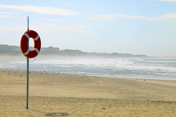 Lifebuoy in beach — Stock Photo, Image
