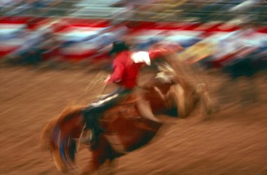 Rodeo in arena clipart