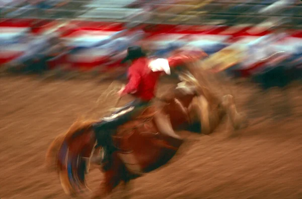 Rodeo in arena — Stockfoto
