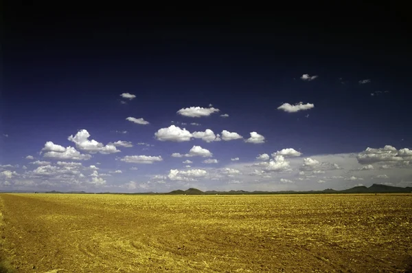 A mező a blue sky és clouds — Stock Fotó