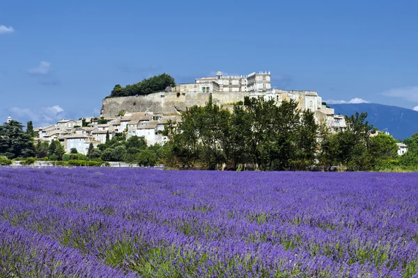 Lavendel fält och byn — Stockfoto