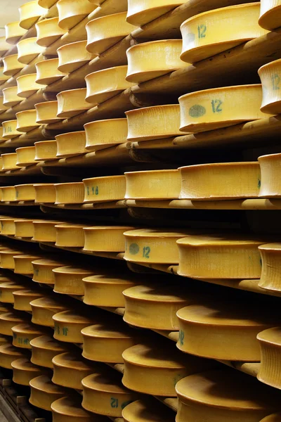 奶酪业 — 图库照片