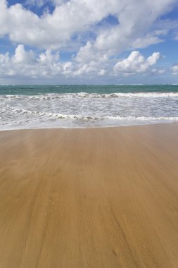plaj ve okyanus