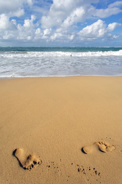 해변을 걷는 모습 — 스톡 사진