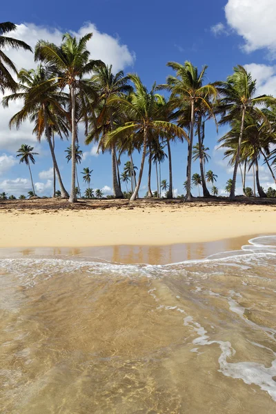 Voda na pláži — Stock fotografie