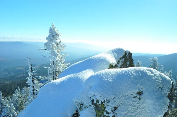 Winter land — Stockfoto