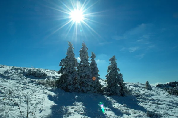 Słoneczny dzień na zimowe — Zdjęcie stockowe