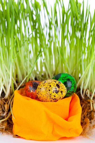Färgglada påskägg nära gräs på dekorativa boet — Stockfoto