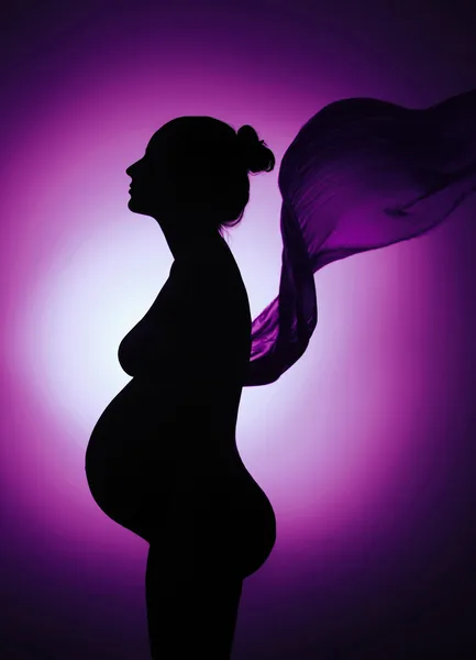 Beautiful silhouette of pregnant woman dreaming — Stock Photo, Image