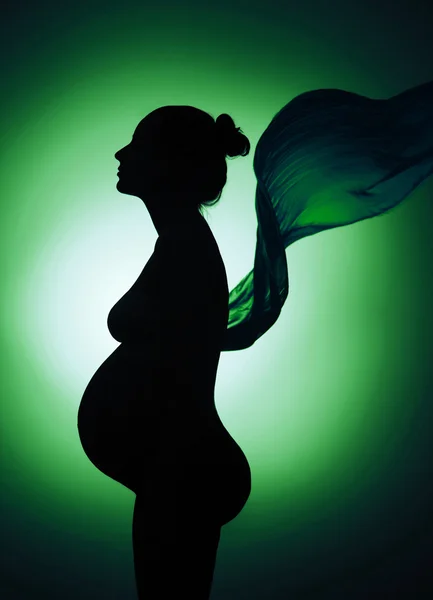 Silhouette della donna incinta — Foto Stock